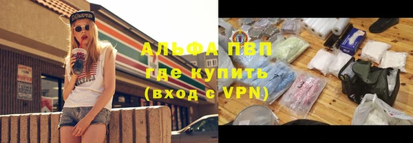 спиды Бородино