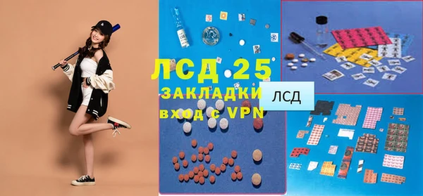 молекула духа Богородицк
