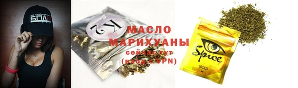 молекула духа Богородицк