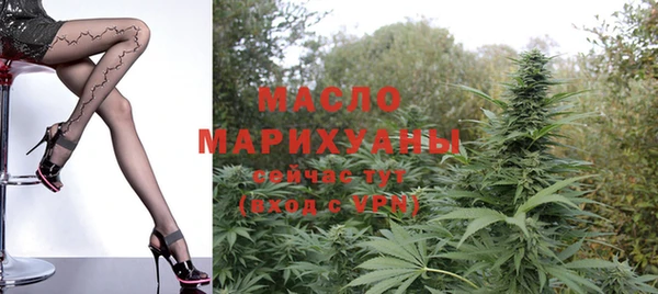 молекула духа Богородицк