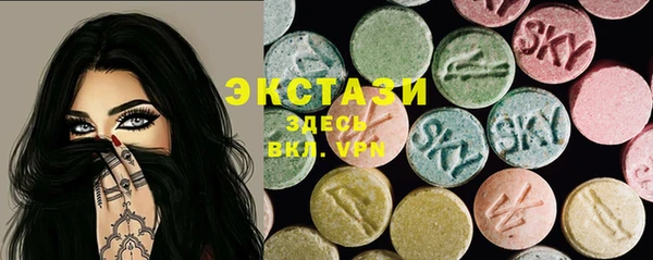 молекула духа Богородицк