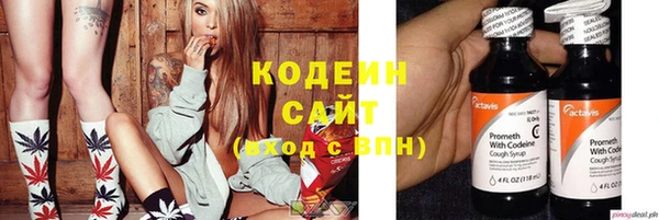 молекула духа Богородицк